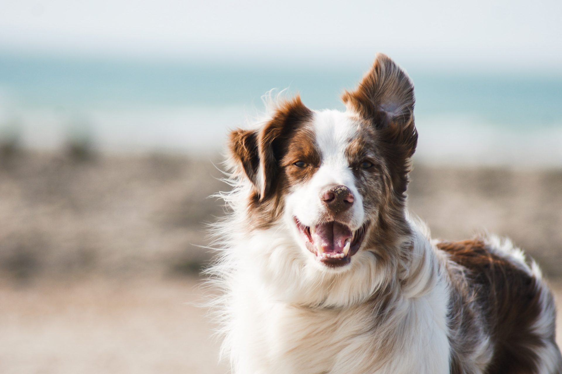 San Diego’s Good News of the Week – April 15, 2022