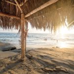 San Diego’s Good News of the Week – September 2, 2022