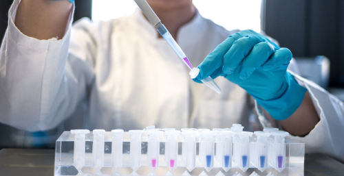 Solecta leveraged EDC programs to strengthen talent pipeline, expand internationally
